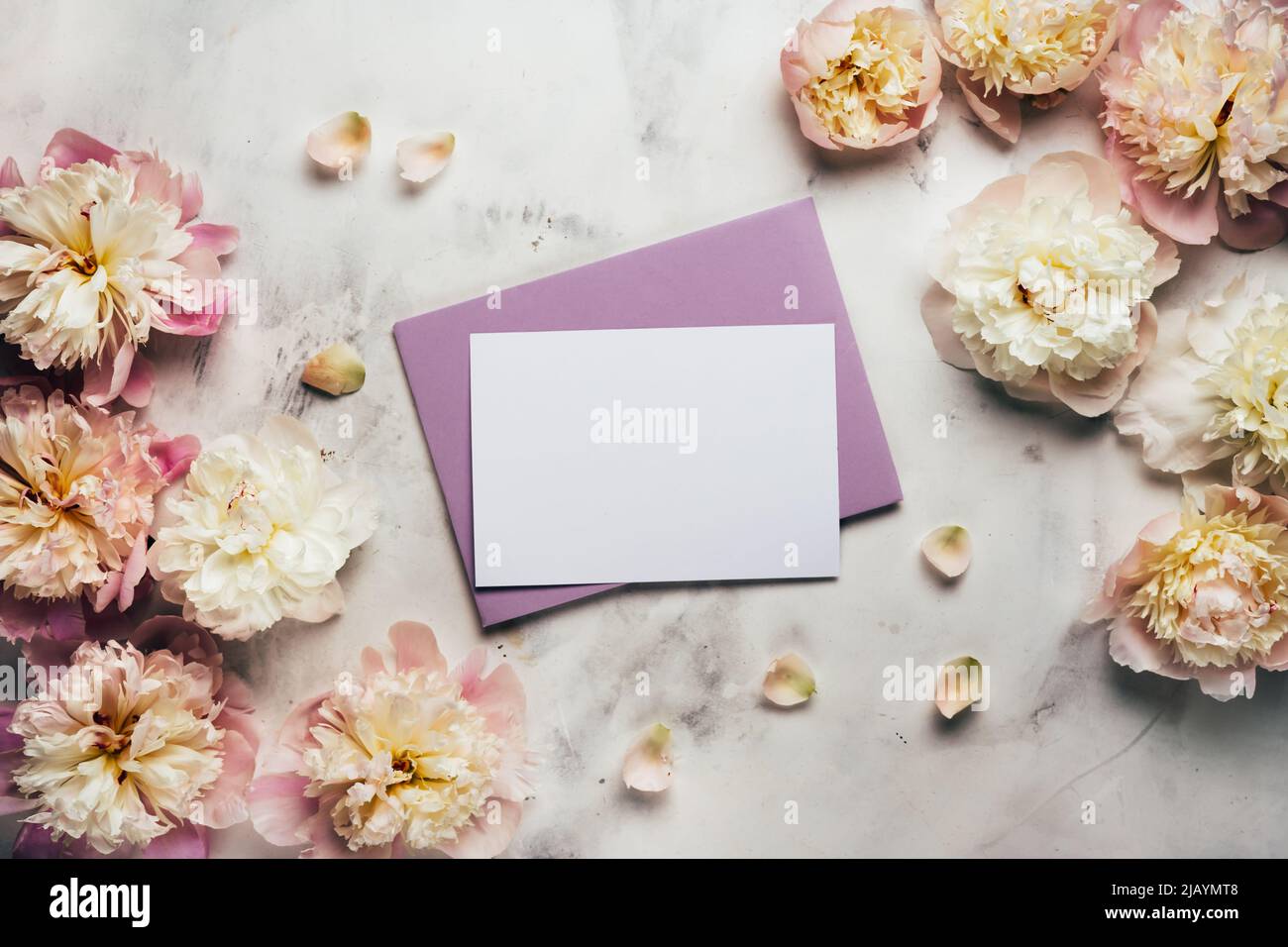 Sfondo bello con fiori di peonia e carta vuota per il testo. Sfondo floreale Foto Stock