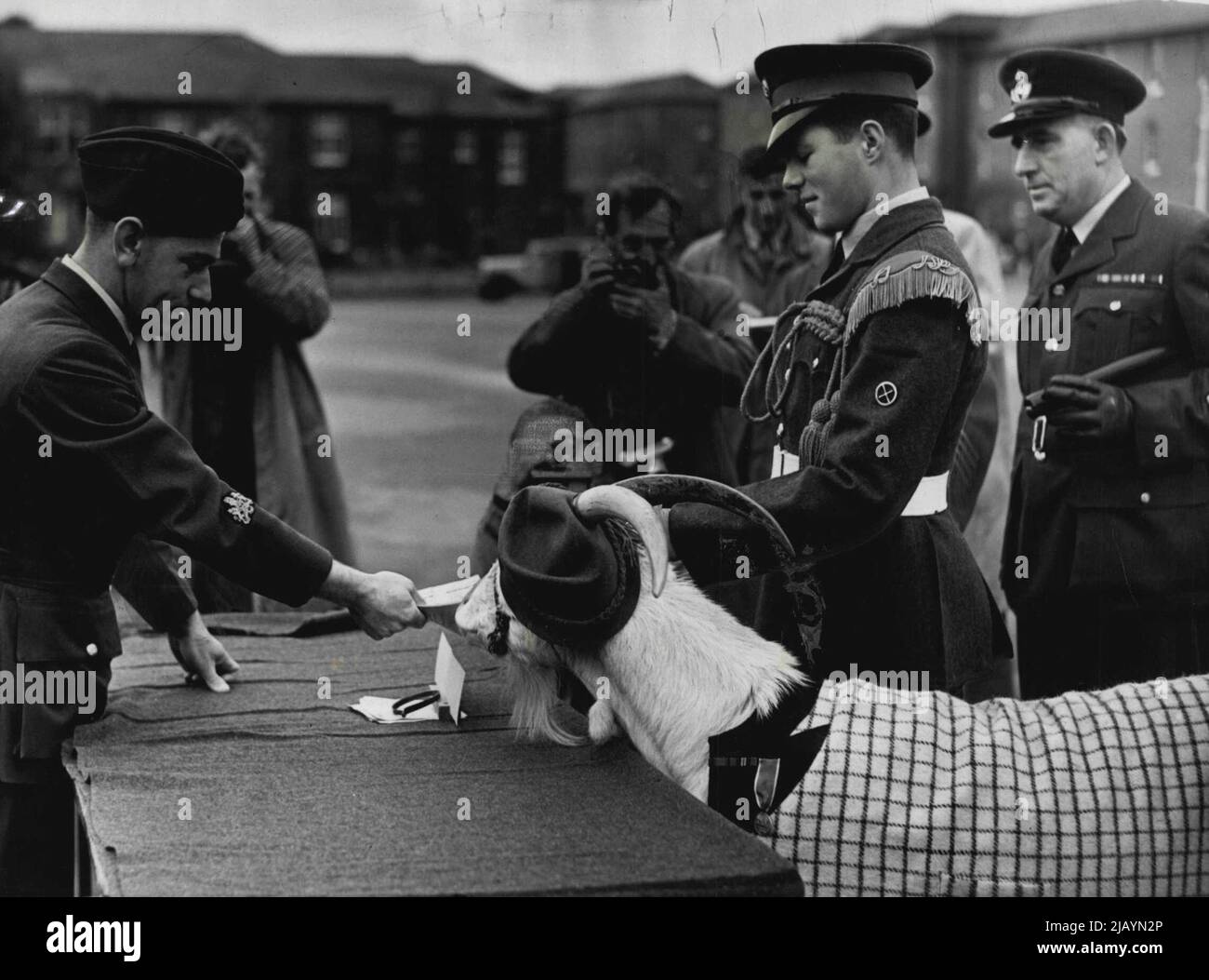 Flt-Sgt. Lewis è Demobbed - con cerimonia - le carte demob di Lewis sono consegnate alla sua scorta prima di lasciare Halton. Il più innovativo ***** Mai visto ha avuto luogo oggi alla stazione di Halton RAF, bucks, quando, completo di cappello damob e vestito, Flt, Sgt. Lewis, meglio conosciuto come Lewis, la famosa capra Mascot della R.A F., è stato ufficialmente spedito in Civvy Street con una guardia d'onore e fife e drum band. La nuova casa di Lewis sarà la PDSA presso la fattoria di St. II ford, Essex. Ottobre 12, 1948. (Foto di Fox). Foto Stock