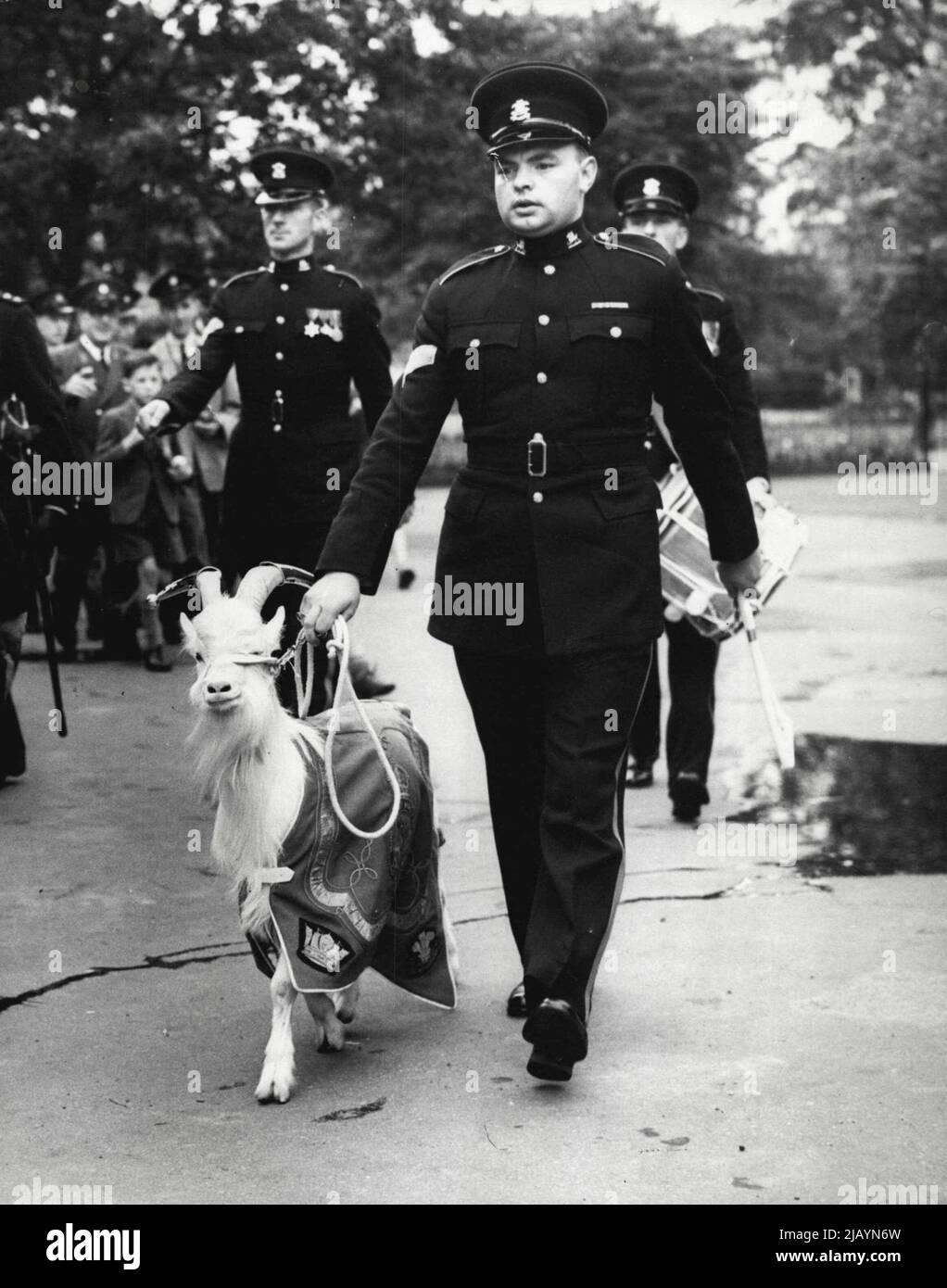 Welch Regiment Get New Mascot Goat - Goat Major Tullet, del 1st Batt. Il reggimento del Welch, si allontana con la nuova mascotte Regimental Goat dopo che era stata presentata da Oliver Jones, il curatore dei mammiferi della Società Zeologica allo Zoo di Londra questa mattina. La capra 'Taffy lo' viene dalla mandria reale, ed è il dono del Sovrano. Il Battaglione del 1st è attualmente in servizio a Hong Kong. Luglio 10, 1954. Foto Stock