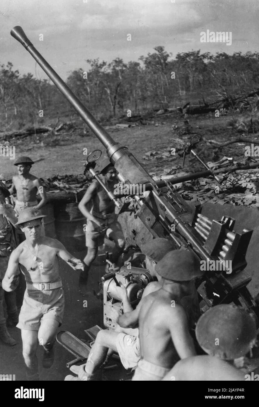 L'equipaggio di pistola leggera serie anti-aerei in azione quando hanno raggiunto la stazione di azione accanto alla loro pistola (membri dell'equipaggio stanno salendo in posizione accanto alla loro pistola in questo colpo.). Agosto 28, 1943. (Foto di H. Rodda). Foto Stock