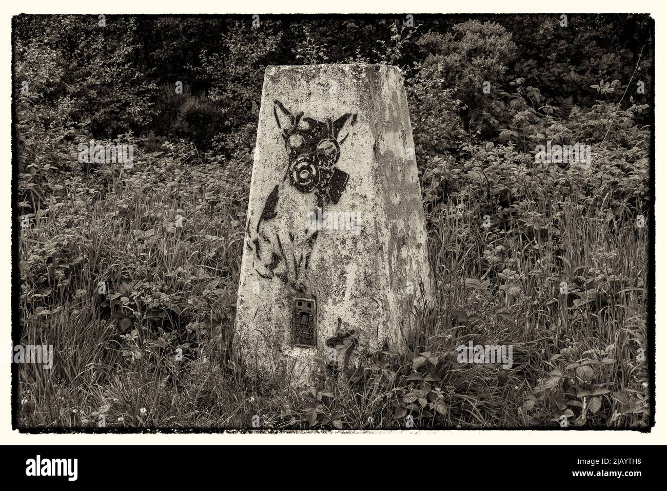 Colonna di trig coperta da Graffiti sulla parte superiore di Pontop Pike, Tyne & Wear, Regno Unito. Foto Stock