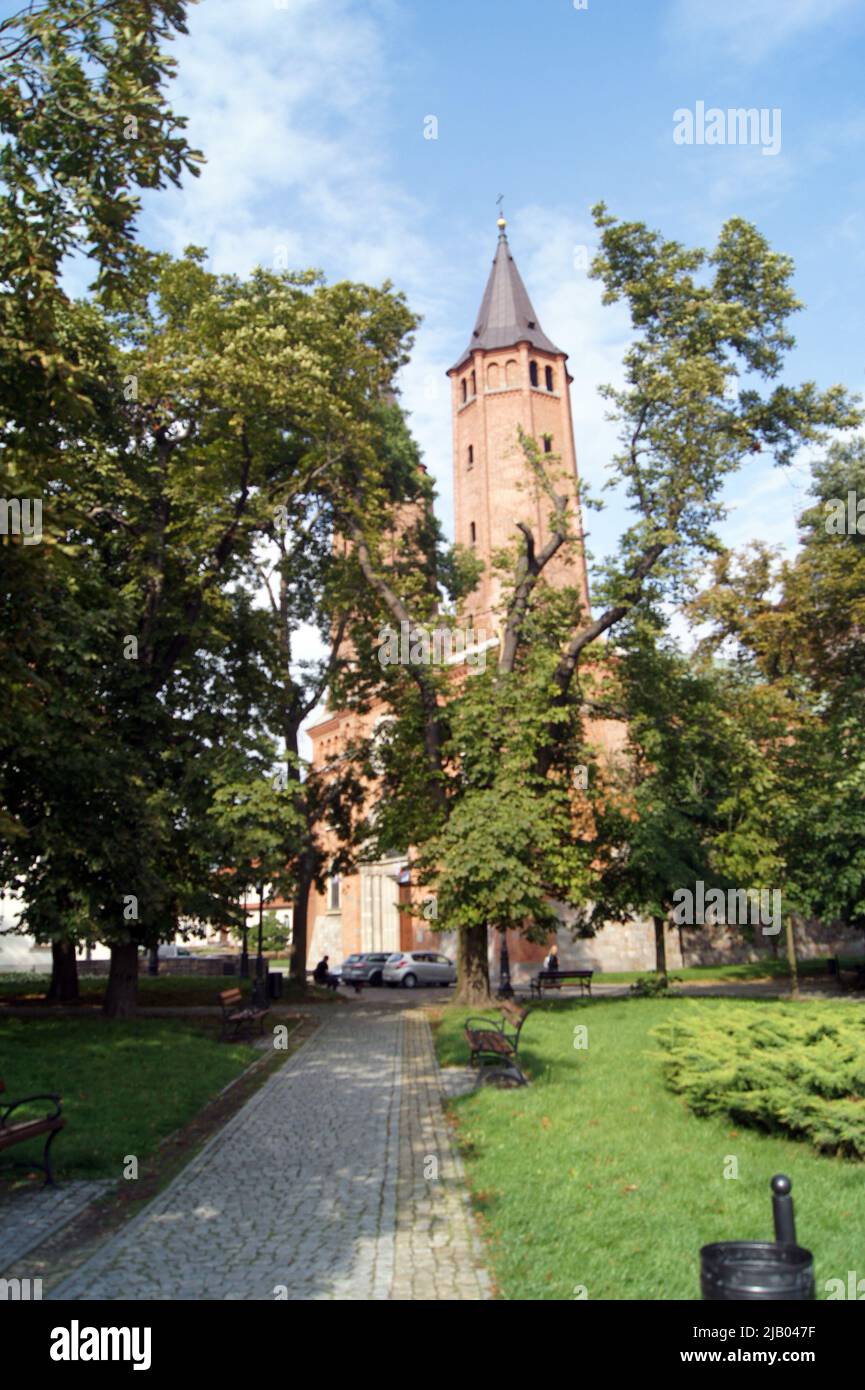 Plock. La cattedrale reale della dinastia dei Piast. 2D capitale della Polonia Foto Stock
