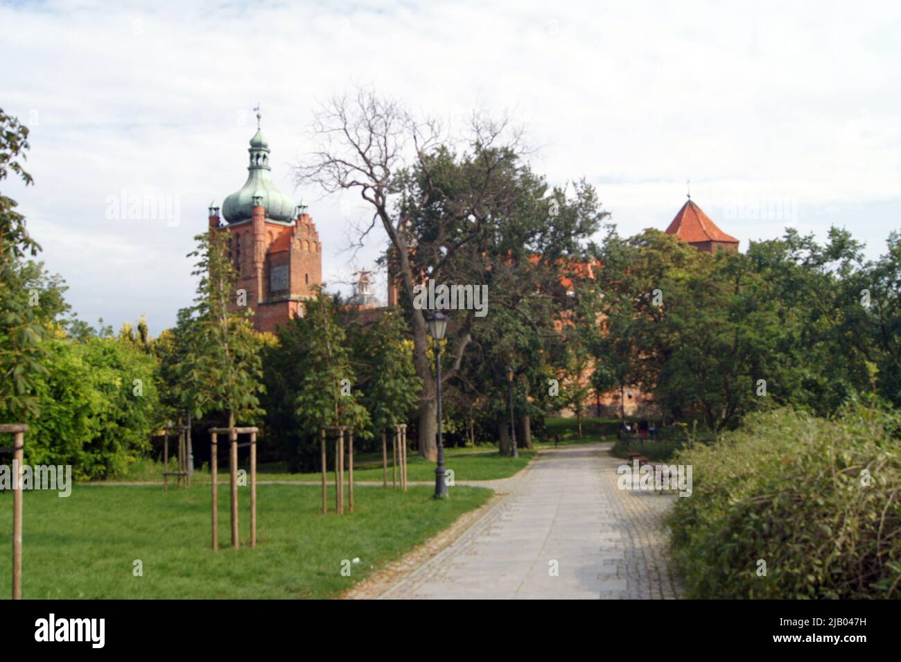 Il castello reale e la cattedrale di Plock. 2D capitale della Polonia Foto Stock