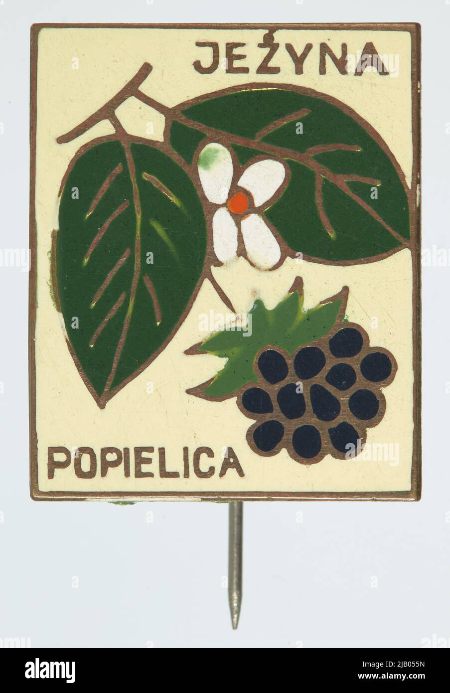 Etichetta sconosciuta del badge turistico Foto Stock