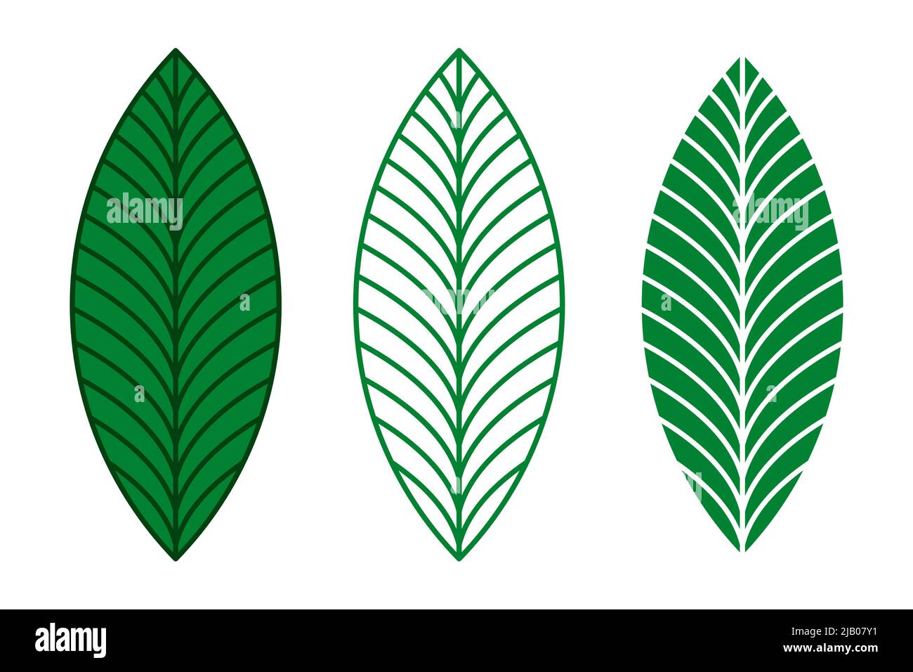 Elegante set vettoriale di foglie verdi. Illustrazione della silhouette e della lamella del contorno. Illustrazione Vettoriale
