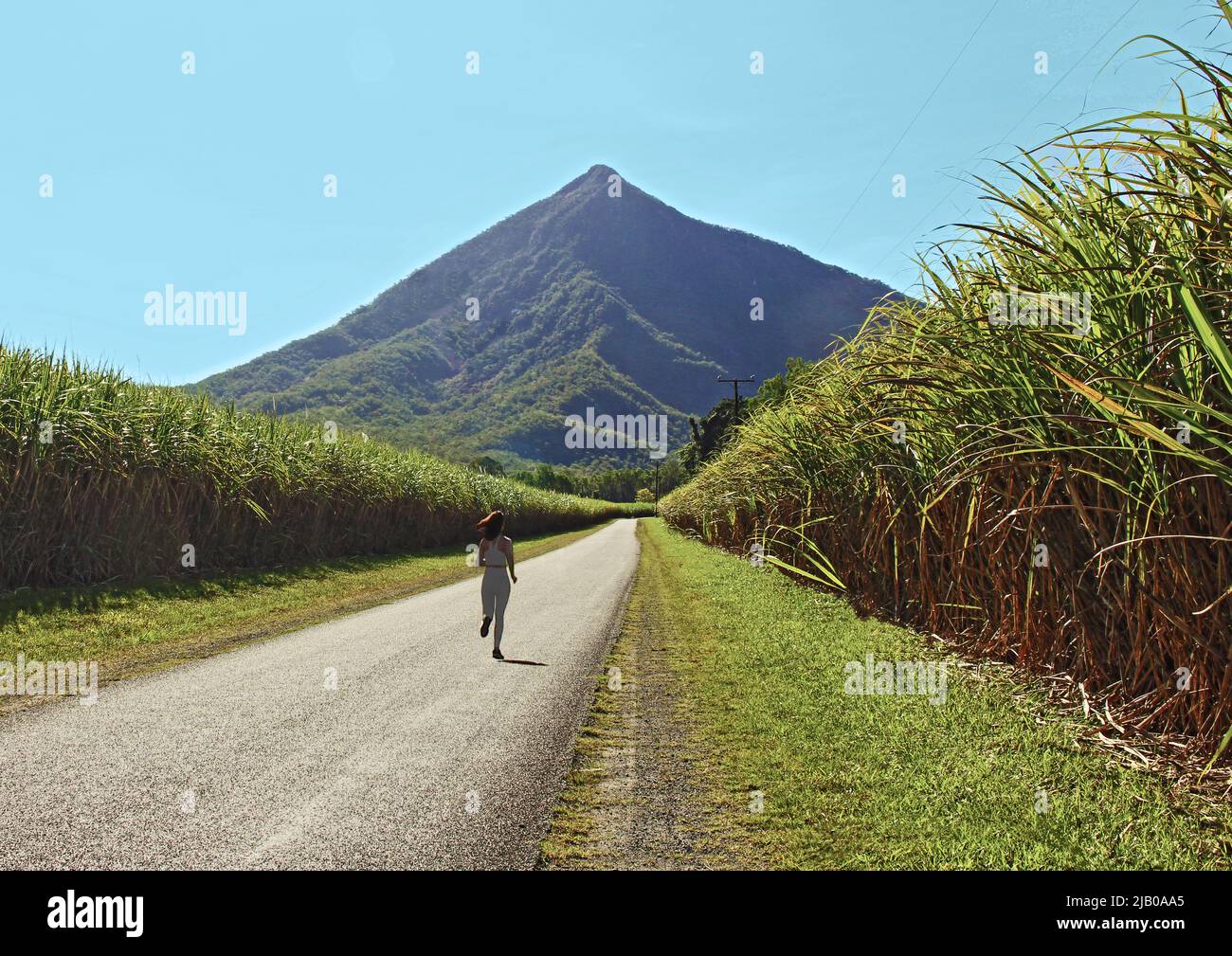 La Piramide di Walsh si snoda attraverso campi di canna sul lato posteriore lungo Behana Gorge Road per raggiungere questa attrazione naturale è appena a sud di Cairns in FNQ Foto Stock