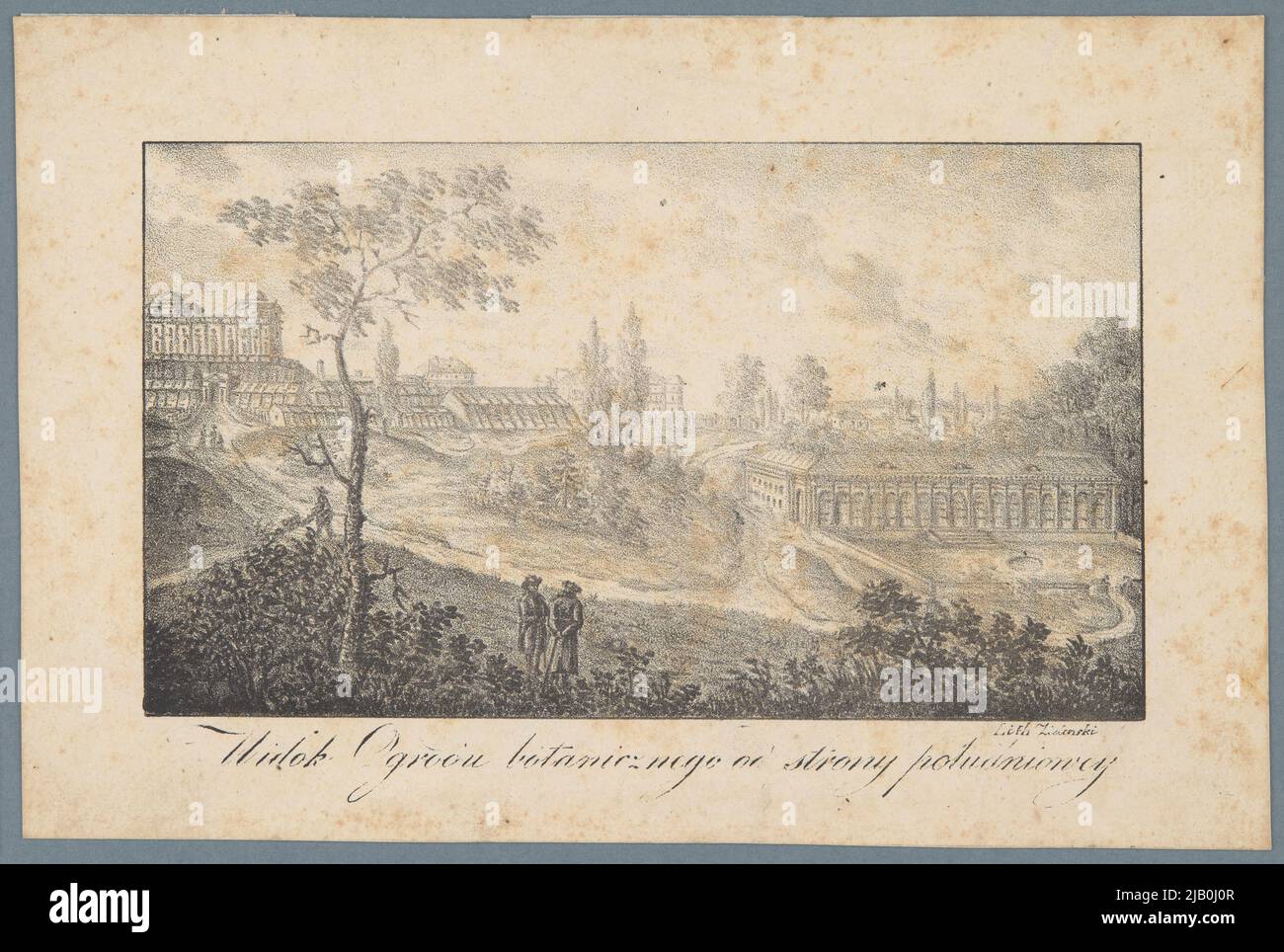 Vista sul giardino botanico dal sud Zieli Ski Foto Stock