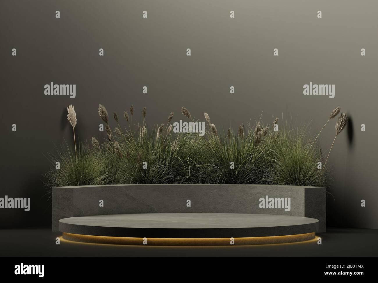 Lettini di nero su sfondo di colore nero e piante. Per illustrazioni mockup. 3d rendering Foto Stock