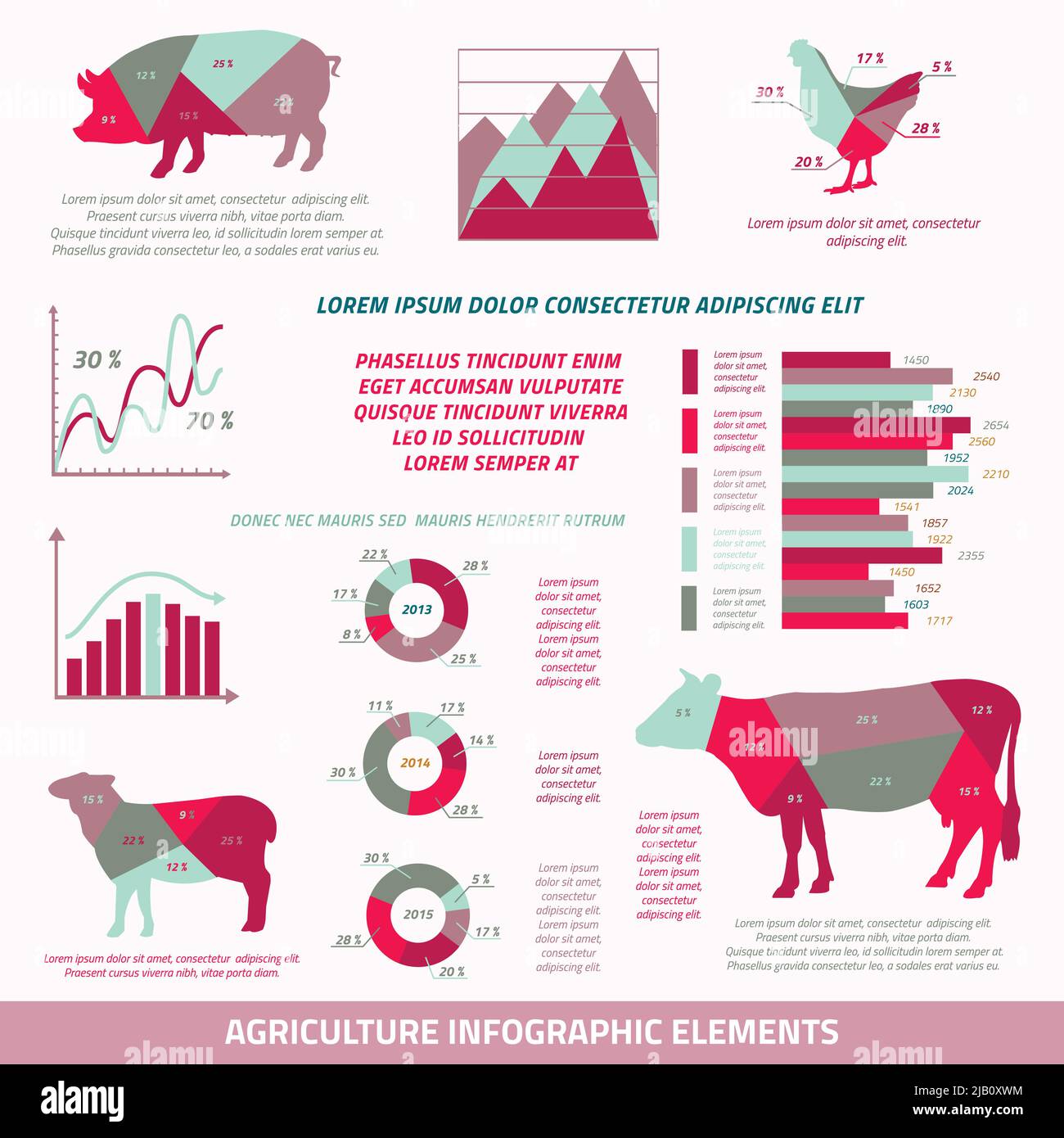 Agricoltura infographics design piatto elementi del pollo di bestiame suino di mucca e di pecora grafico illustrazione vettoriale Illustrazione Vettoriale