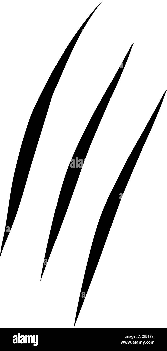 Graffi Cat. Artigli neri graffio animale, carta strappata. Tracce di artigli Cat. Illustrazione vettoriale su sfondo nero. Illustrazione Vettoriale