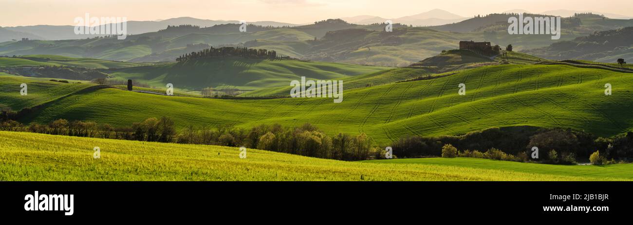 Panorama del paesaggio primaverile della Toscana Foto Stock