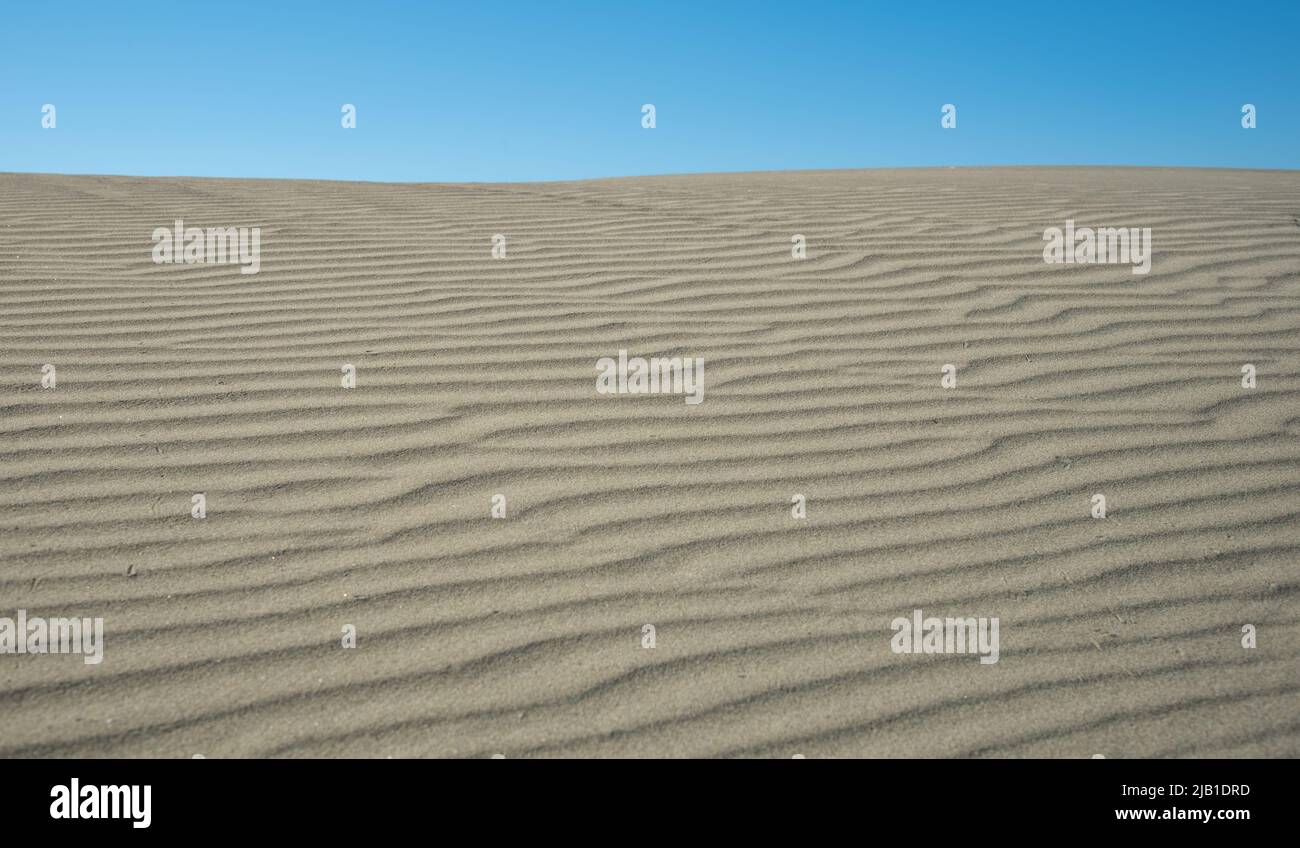 Dune di sabbia sul cielo blu. Deserto costa asciutta terra Cipro Foto Stock