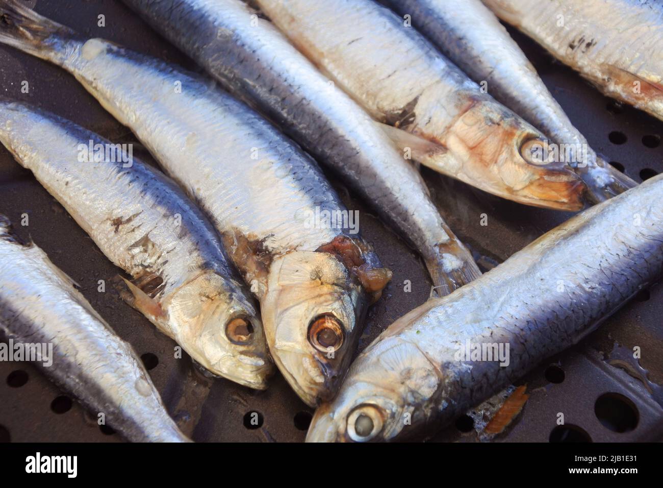 Le sardine integrali cucinano all'aperto su una griglia - John Gollop Foto Stock
