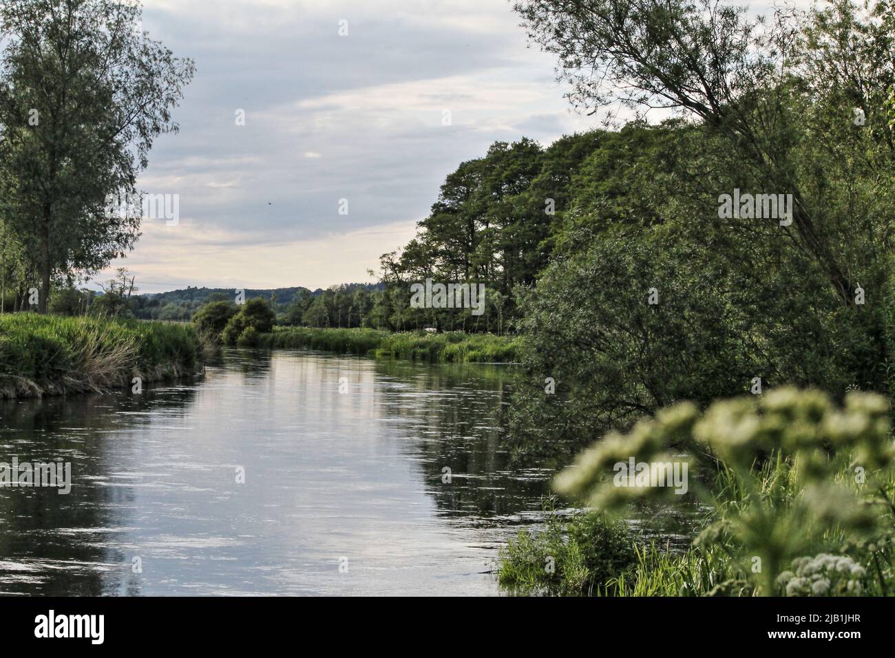 River Avon in Hampshire, Regno Unito Foto Stock
