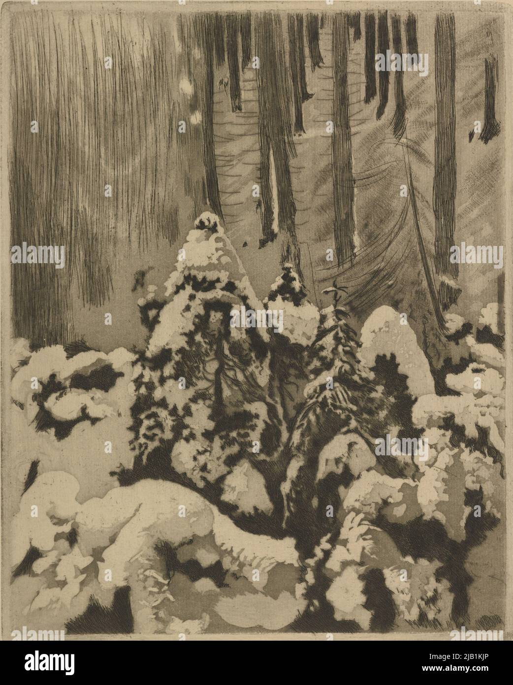 Spostamento, pl. DAL Portfolio: Leon Wyczółkowski, Tatry. Aquatint Eight, Cracovia, 1906 Wyczózó Kowski, Leon (1852 1936) Foto Stock