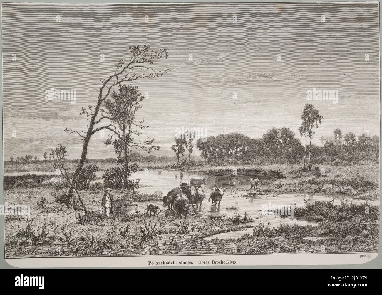 Dopo il tramonto secondo il dipinto di Walery Brochocki. Affilatura da Kłosów 1875 (1) 181 Olszewski, Kazimierz (Fl. 1874 CA 1900), Brochocki, Walery (1847 1923) Foto Stock