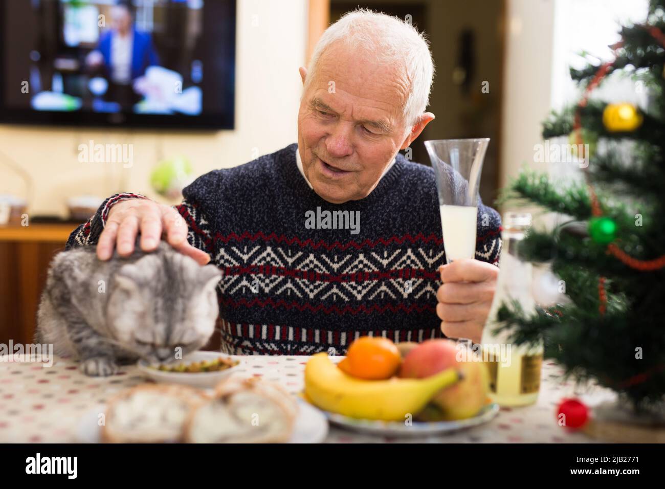 L'uomo anziano insieme ad un gatto del fold scozzese festeggia il nuovo anno a tavola di festa Foto Stock