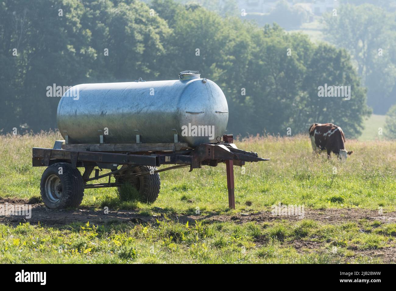 Serbatoio d'acqua metallico, approvvigionamento di bestiame bovino in un campo nelle campagne in Germania, Europa Foto Stock