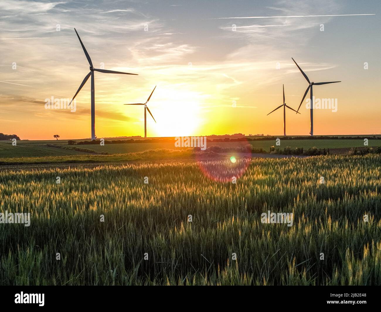 Vista aerea dal basso di un campo di grano con il tramonto di Bakony, le turbine eoliche sono utilizzate per generare elettricità. Foto Stock