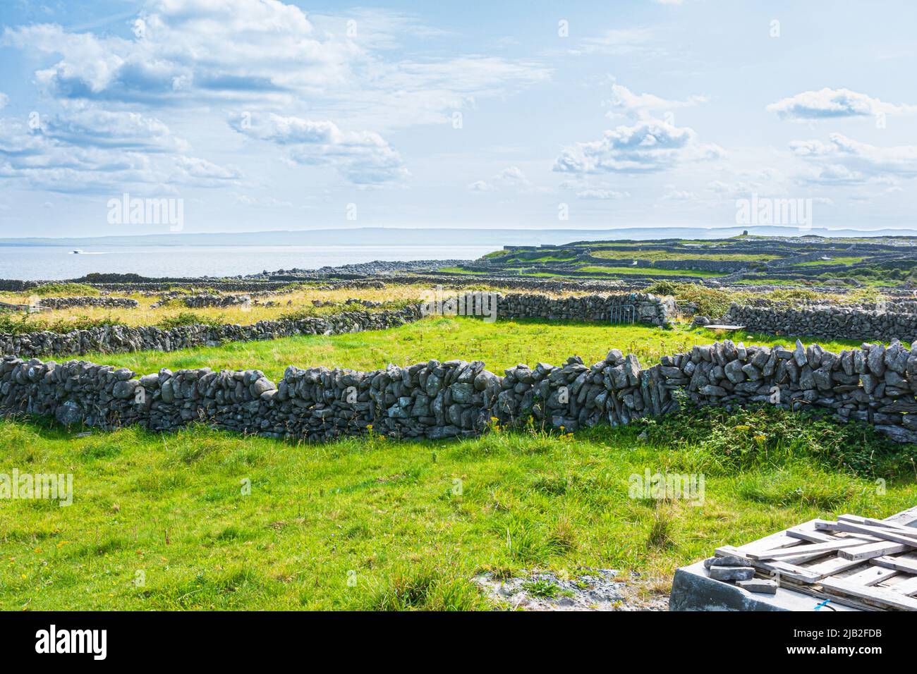 Vista di campi verdi e pareti di pietra a Inisheaser Island, Galway County, Irlanda Foto Stock