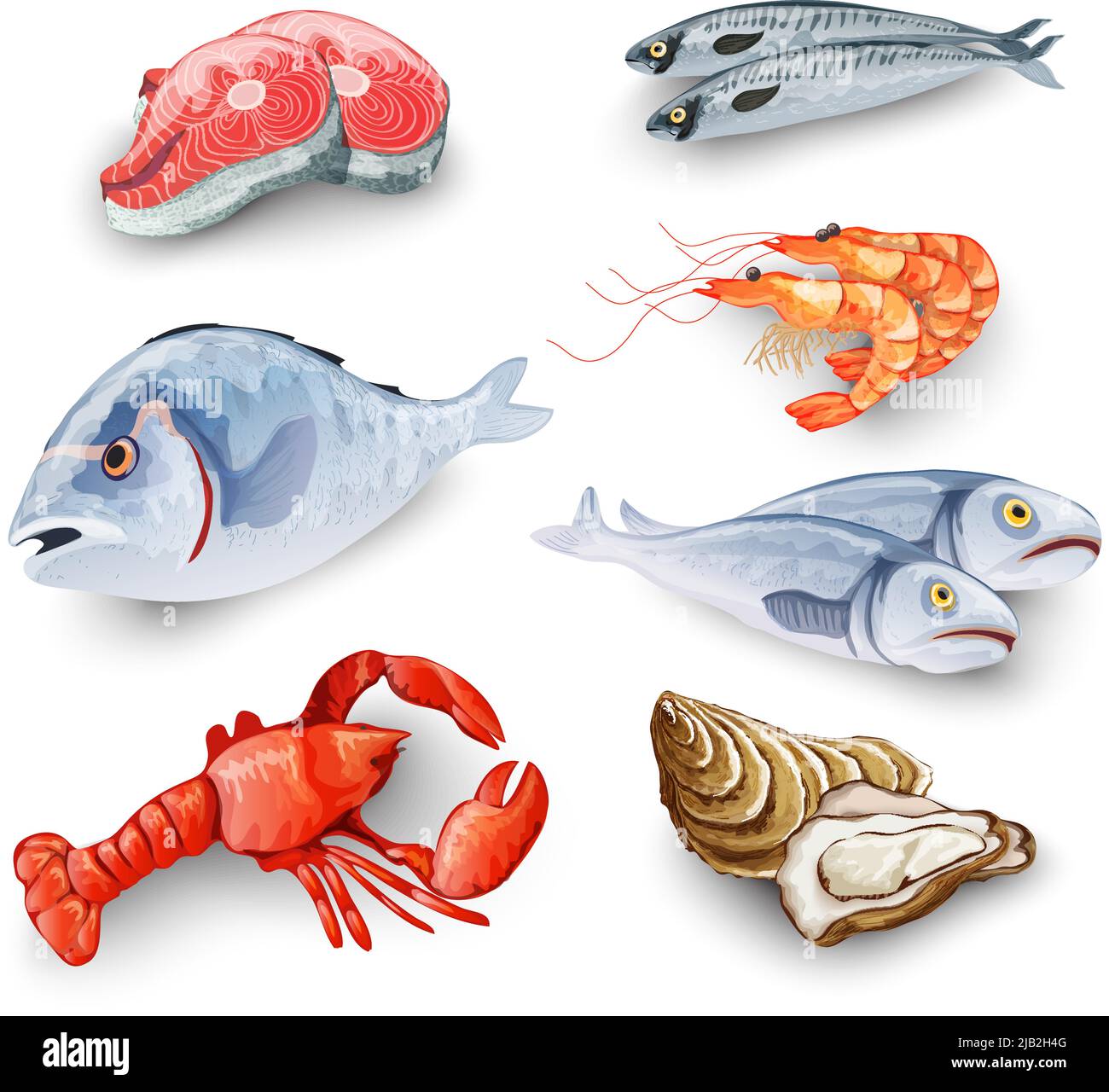 Prodotti di pesce con salmone bistecca gamberi gamberi pesce granchio isolato vettore illustrazione Illustrazione Vettoriale