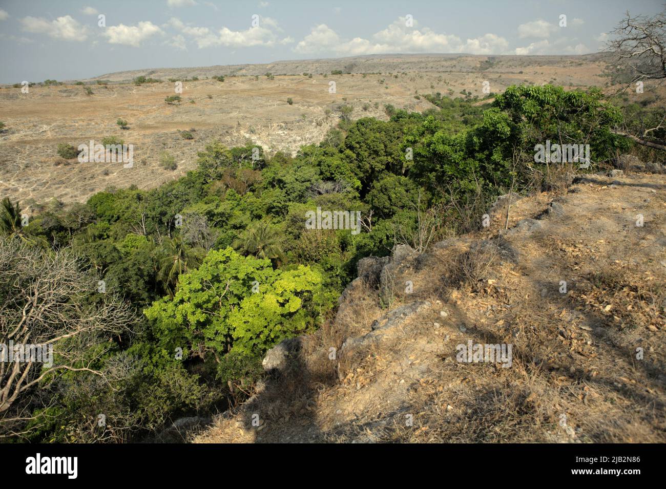 Verde, vegetazione densa su un ruscello e prateria secca sullo sfondo sono viste dal villaggio tradizionale di Prailiang, che è costruito su una collina rocciosa a Mondu, Kanatang, Sumba orientale, Nusa Tenggara orientale, Indonesia. Per ridurre la probabilità di eventi di siccità estrema, gli unici modi per fare sono limitare il riscaldamento globale a 1,5 gradi Celsius, insieme alle pratiche di rigenerazione del suolo e di miglioramento della gestione delle acque, Secondo la Convenzione delle Nazioni Unite per la lotta contro la desertificazione (UNCCD) nella loro pubblicazione del maggio 2022 intitolata "Drught in Numbers 2022: Restauro per la preparazione e la resilienza" Foto Stock