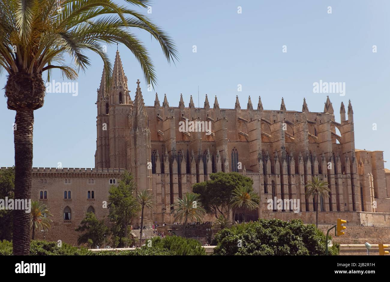 Spagna, Isole Baleari, Maiorca, Palma di Maiorca, Cattedrale cattolica gotica di Santa Maria la Seu con palme in primo piano. Foto Stock