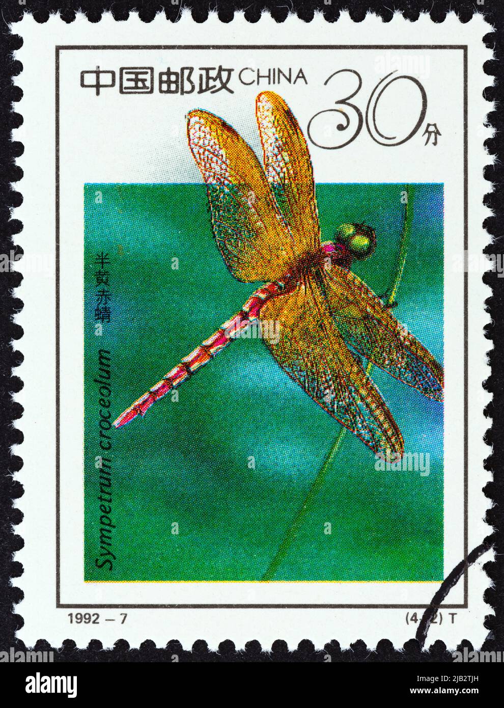 CINA - CIRCA 1992: Un francobollo stampato in Cina mostra Dragonfly (Sympetrum croceolum), circa 1992. Foto Stock