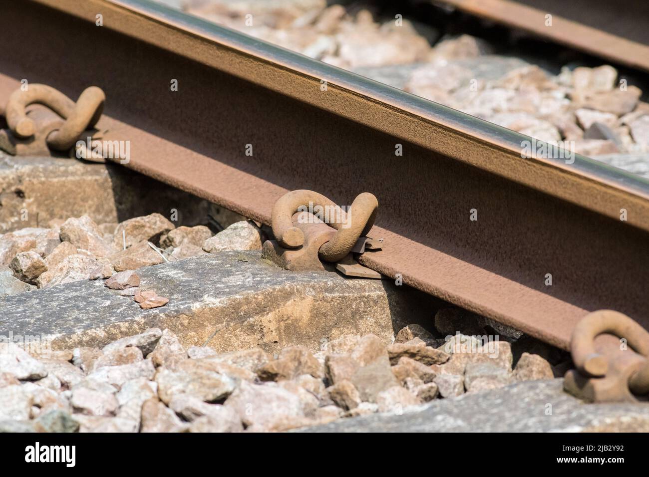 Primo piano di piste a fondo piatto sulla linea della costa di Durham vicino a Hawthorn Hive, contea di Durham, Regno Unito Foto Stock