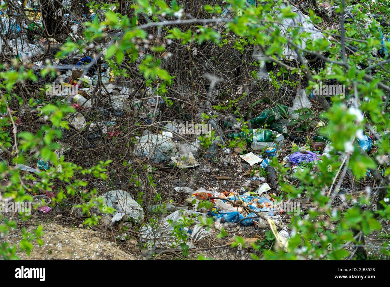 Rifiuti di plastica sparsi in una foresta verde tra gli arbusti primaverili, inquinamento ambientale Foto Stock