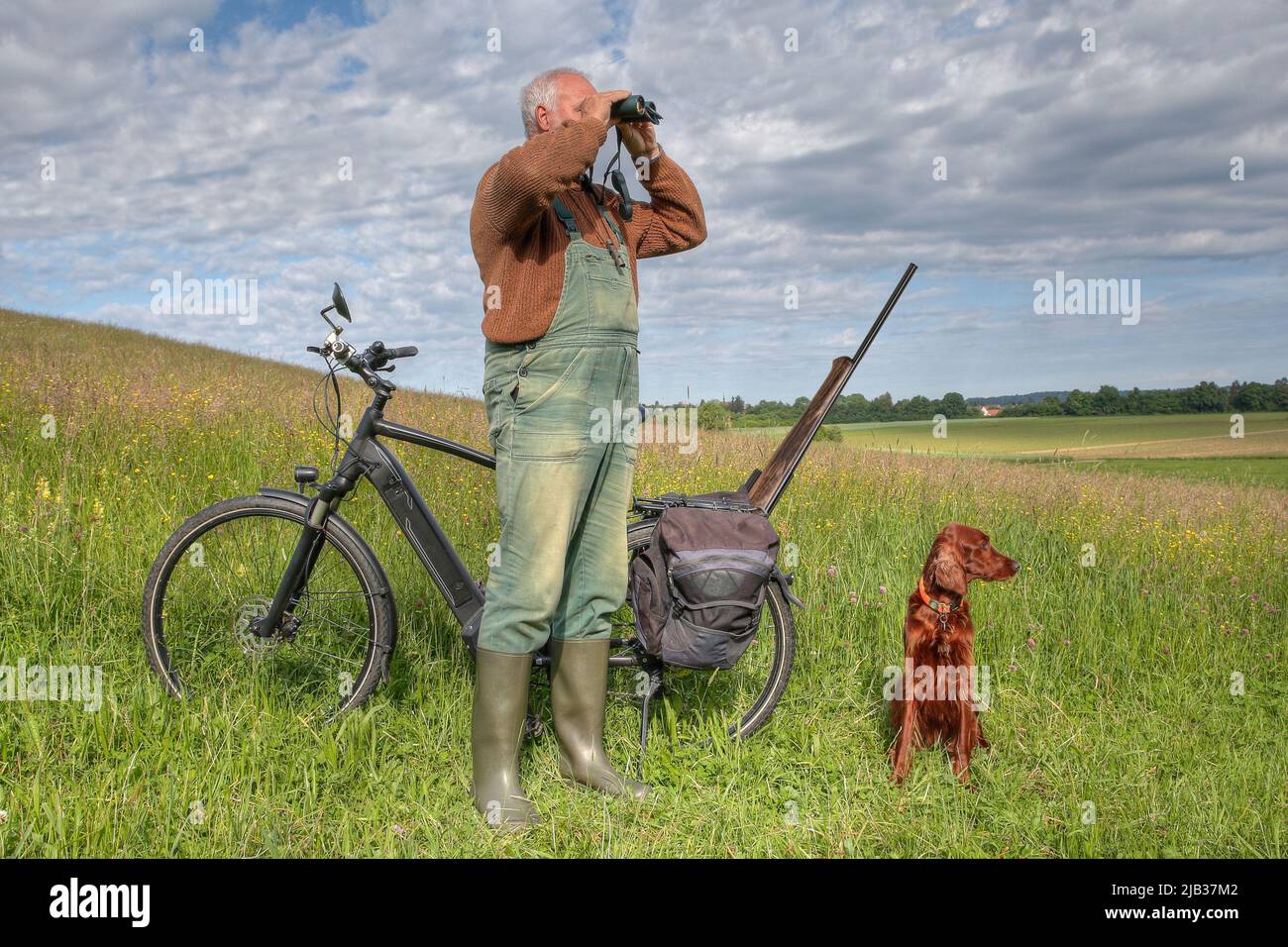 Il cacciatore ecologico è sulla strada nel suo terreno di caccia con la sua bicicletta e il suo cane da caccia Irish Setter. Foto Stock