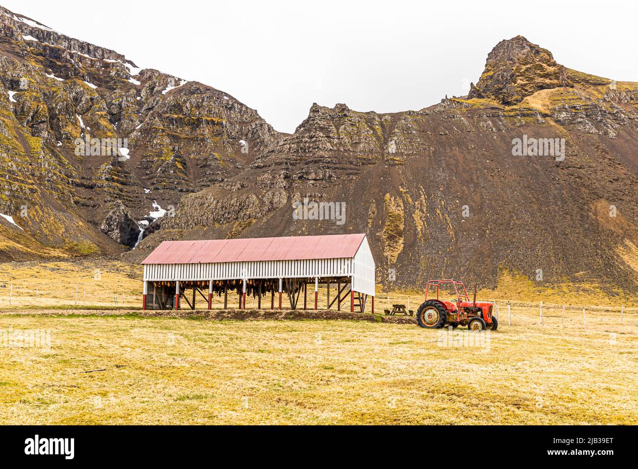Essiccatoio per Hákarl, squalo fermentato della Groenlandia e specialità islandese. Bjarnarhöfn Iceland Shark Museum, dove si risolve il mistero dello squalo fermentato Foto Stock