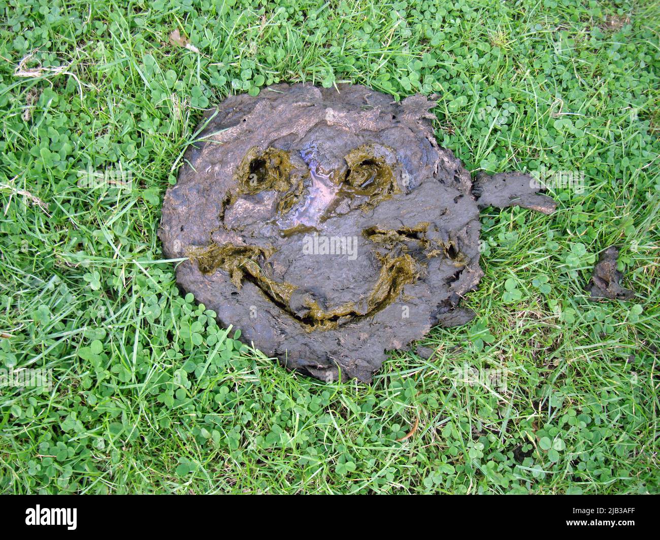 Cowpat Emoji Smiley faccia Foto Stock