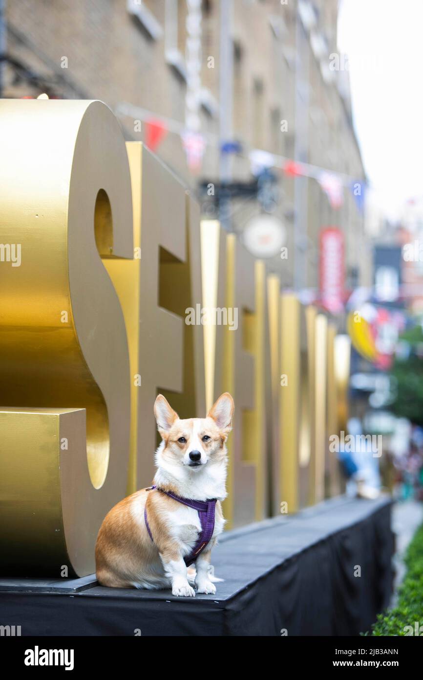 USO EDITORIALE SOLO A corgi alle celebrazioni del Giubileo del platino delle sette Diali, che si svolgono da giovedì 2 giugno a domenica 5 giugno. Data foto: Giovedì 2 giugno 2022. Foto Stock