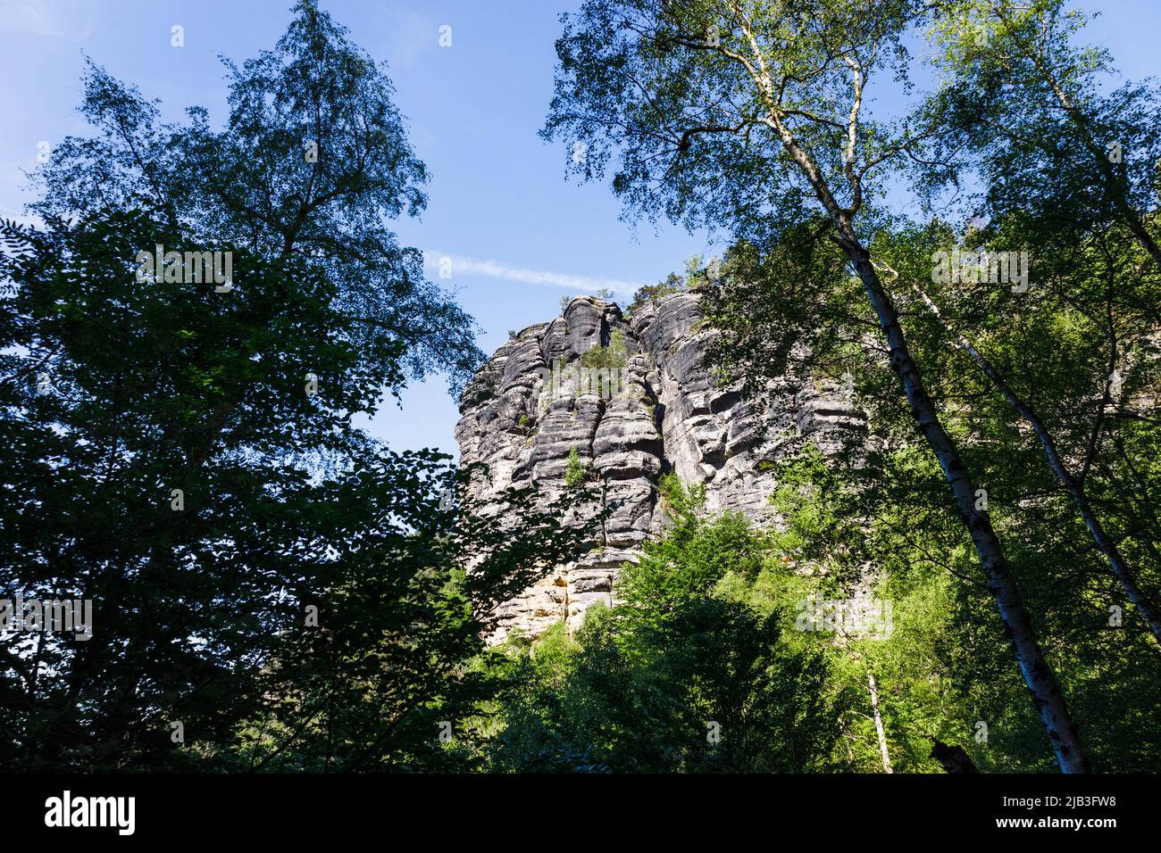 Rocce di arenaria nel Parco Nazionale della Svizzera Boema, Repubblica Ceca Foto Stock