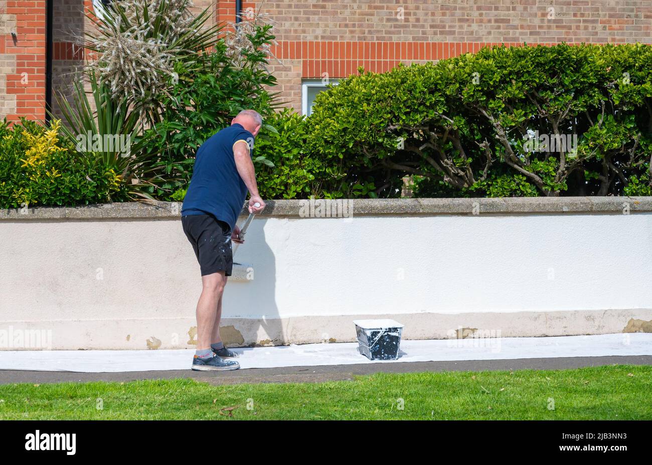 Uomo in piedi su un pavimento pubblico mentre dipinge un muro esterno del giardino in bianco, usando un rullo di vernice. Foto Stock