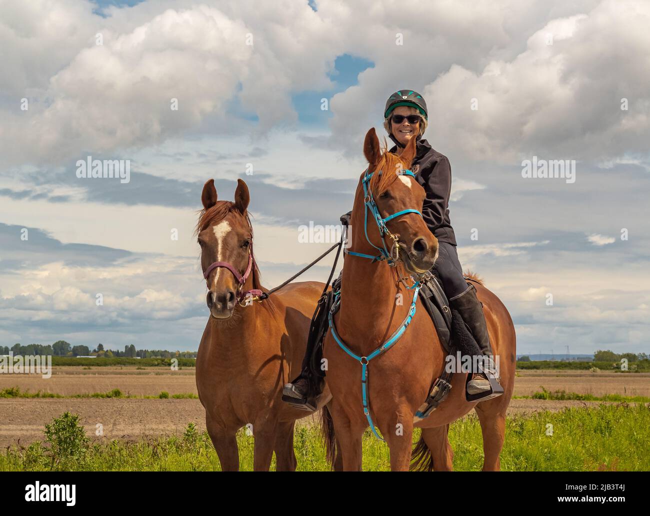 Una donna a cavallo. Dressage donna pilota a cavallo nel parco. Sport equestre. Foto di strada, fuoco selettivo, editoriale-Maggio 29,2022-Vancouve Foto Stock