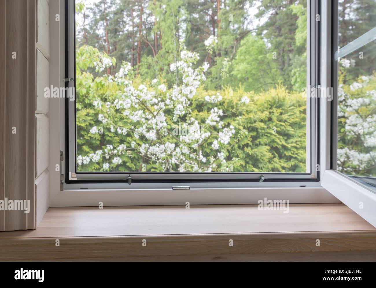 Finestra bianca con rete di mosuito in una casa rustica in legno Foto Stock