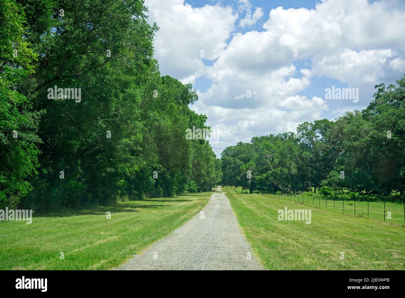 Tour di Backroads nella Florida centrale settentrionale con vecchie case agricole abbandonate e strette strade sterrate attraverso la foresta baldacchino e terreni agricoli. Foto Stock