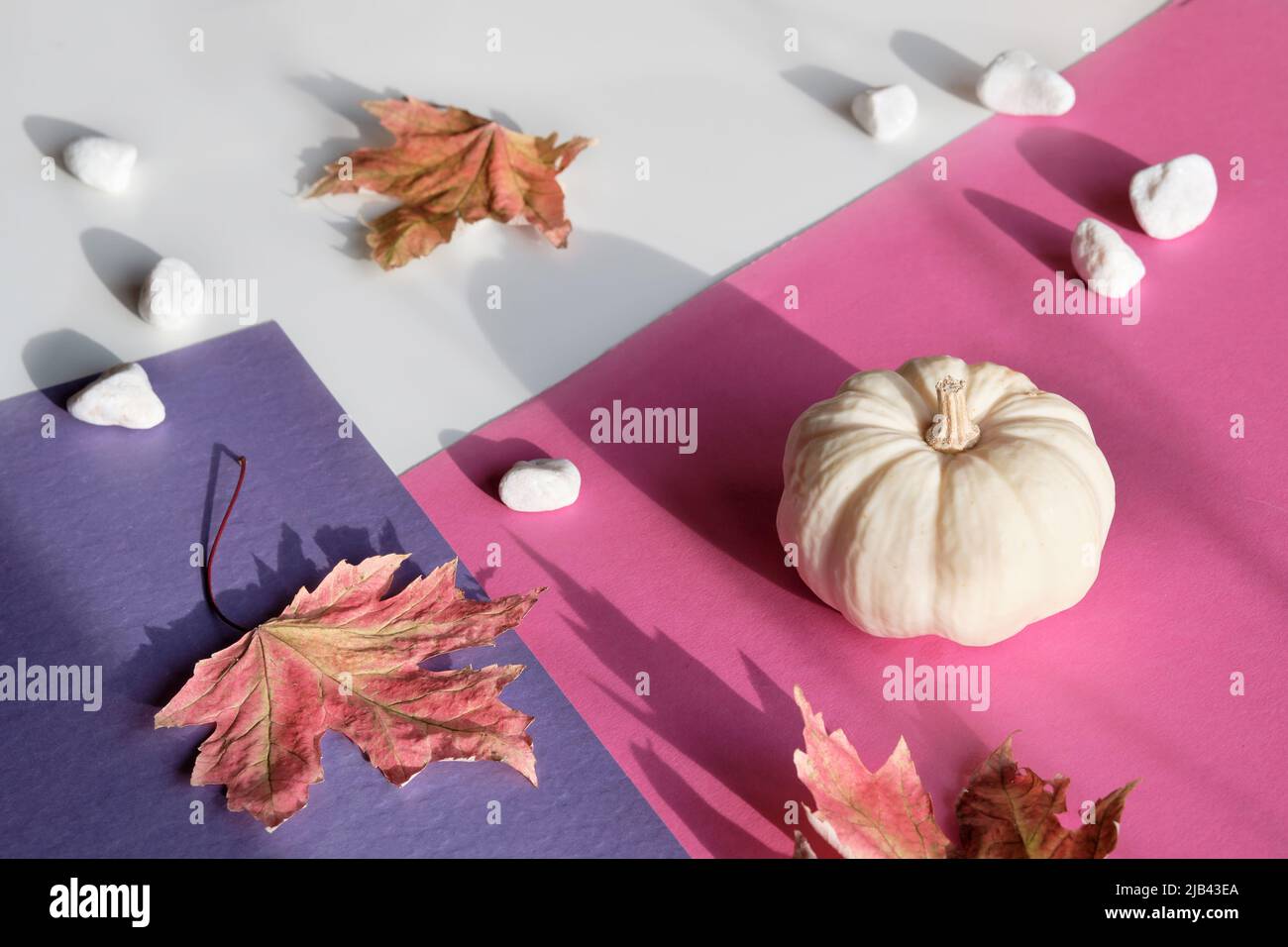 Sfondo di carta rosa fucsia con decorazioni autunnali. Aspetto monocromatico con zucche rosa e foglie secche di caduta. Foto Stock