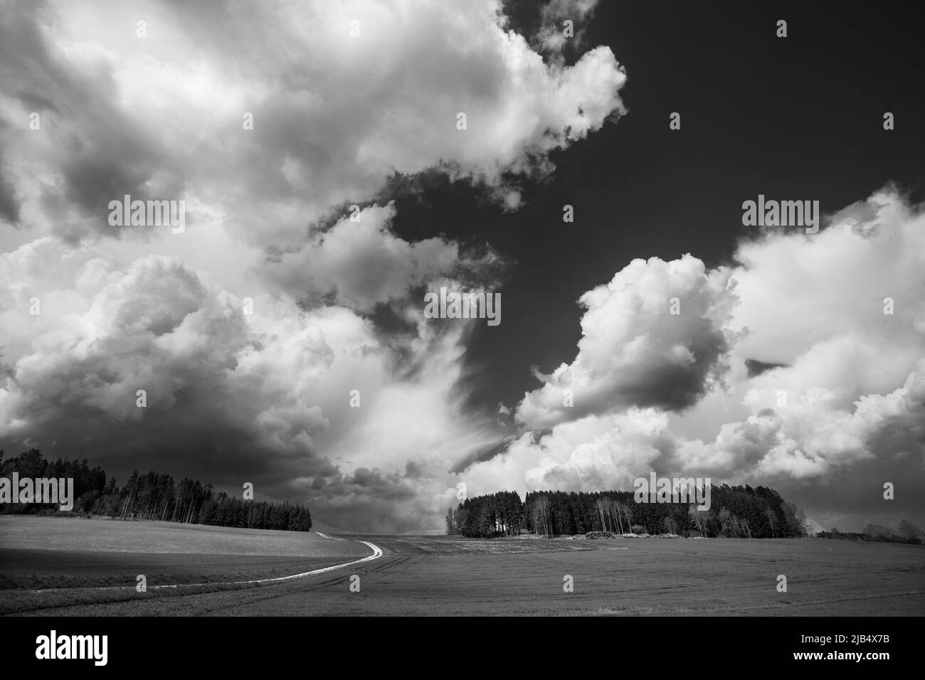 Immagine SW, cielo tempesta minaccioso con nube di cumulo (Cumulus), Bad Leonfelden, regione Muehlviertel, Austria superiore, Austria Foto Stock