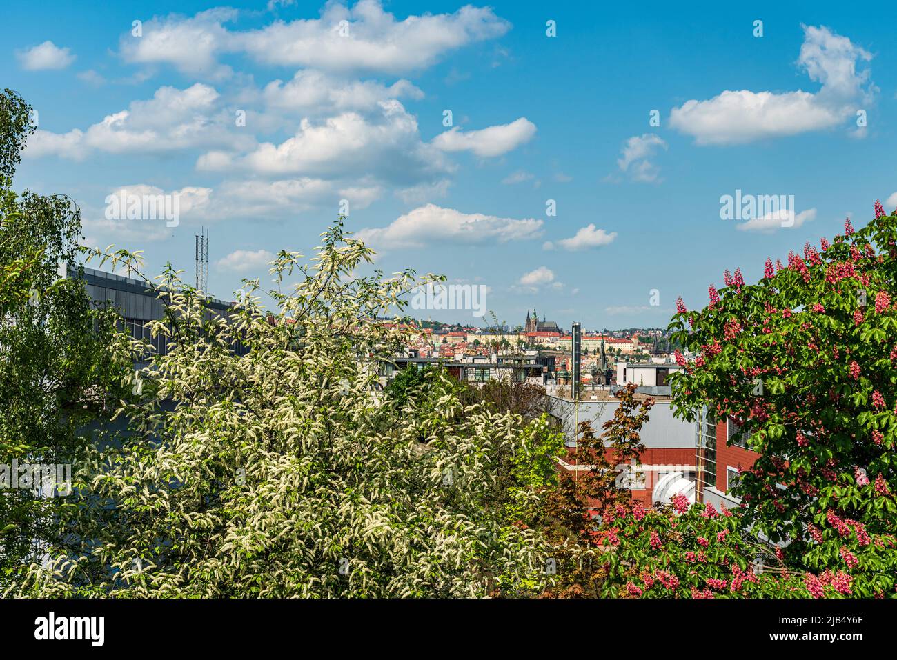 Città di Praga con il Castello di Praga dal giardino Rajska zahrada nel quartiere di Zizkov durante la splendida primavera Foto Stock