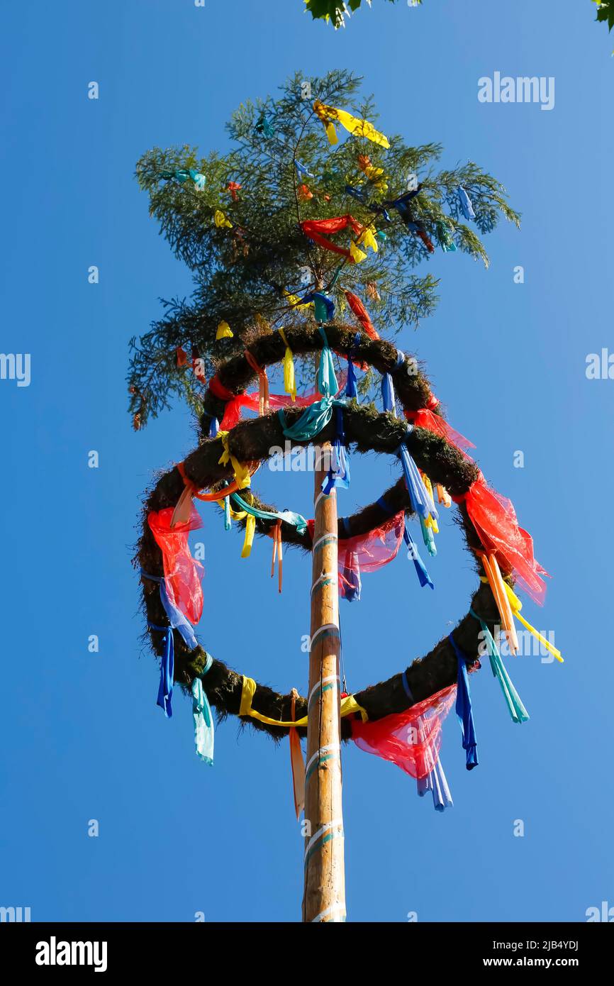 Maypole, albero decorato tronco, tradizione, costumi, centro del villaggio, Reutlingen-Betzingen, Baden-Wuerttemberg, Germania Foto Stock