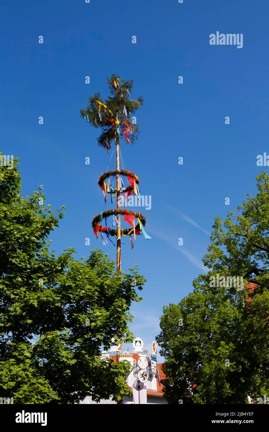 Maypole, albero decorato tronco, tradizione, costumi, centro del villaggio, Reutlingen-Betzingen, Baden-Wuerttemberg, Germania Foto Stock