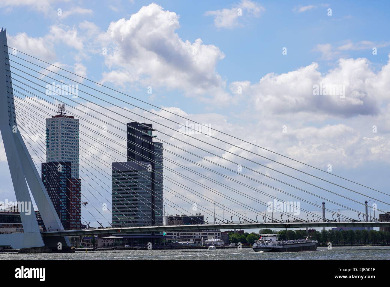 Vista del ponte Erasmus di Rotterdam lungo 802 metri dall'architetto Van Berkel & Bos e dai grattacieli. Rotterdam, Paesi Bassi. Foto Stock