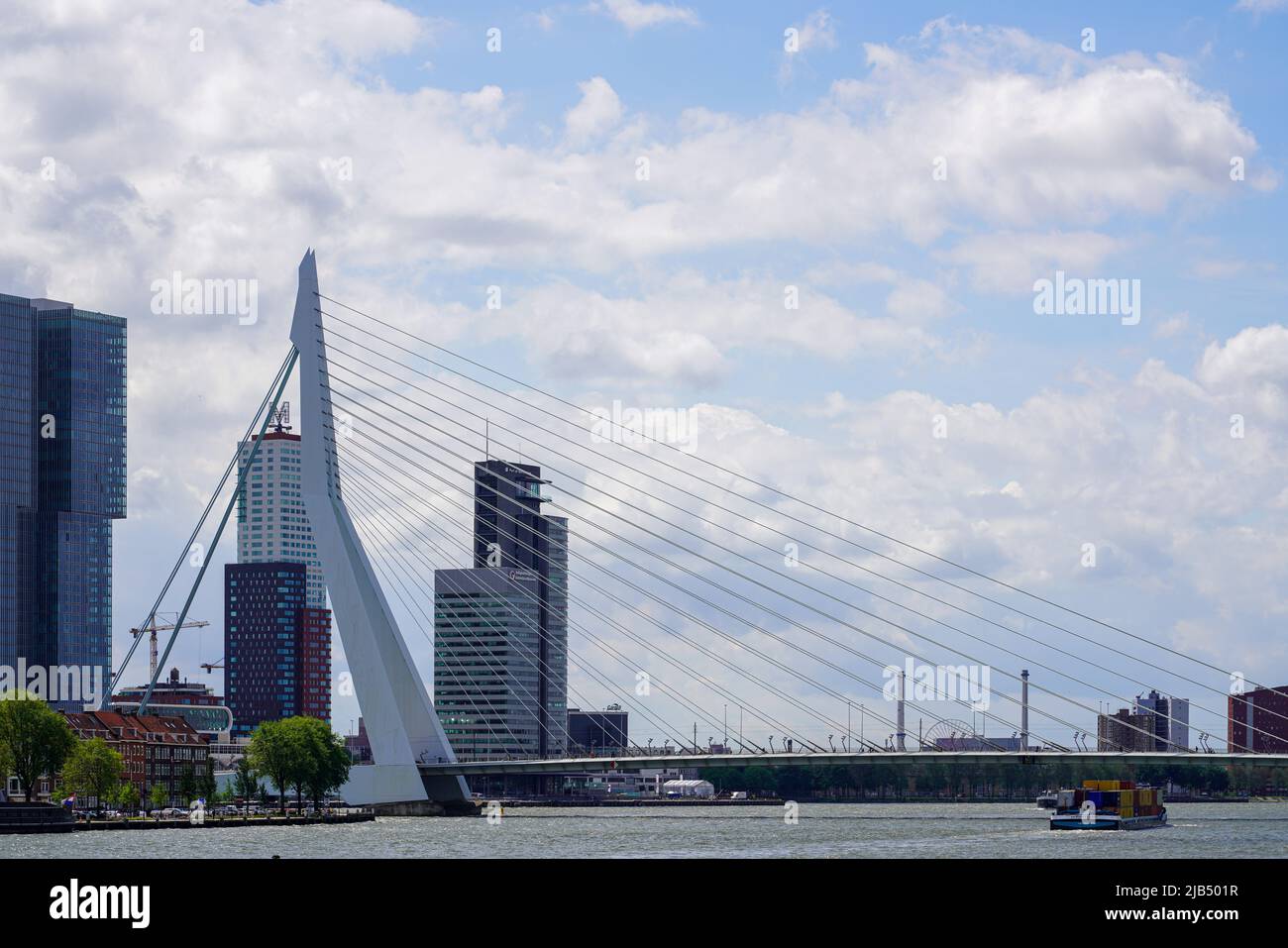 Vista del ponte Erasmus di Rotterdam lungo 802 metri dall'architetto Van Berkel & Bos e dai grattacieli. Rotterdam, Paesi Bassi. Foto Stock