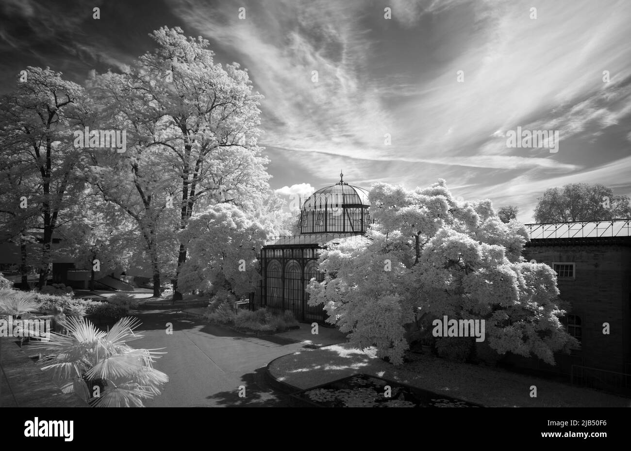 Serra nella casa di campagna moresca, immagine infrarossa, Wiilhelma, giardino zoologico-botanico, Stoccarda, Baden-Wuerttemberg, Germania Foto Stock