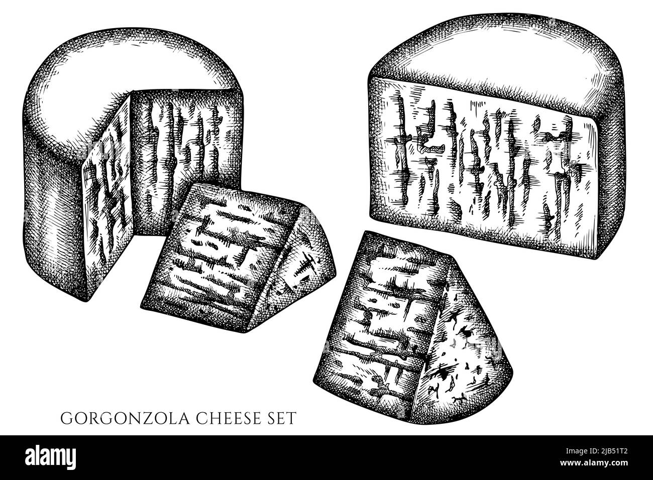 Collezione di illustrazioni vettoriali di formaggio vintage. Gorgonzola bianca e nera. Illustrazione Vettoriale