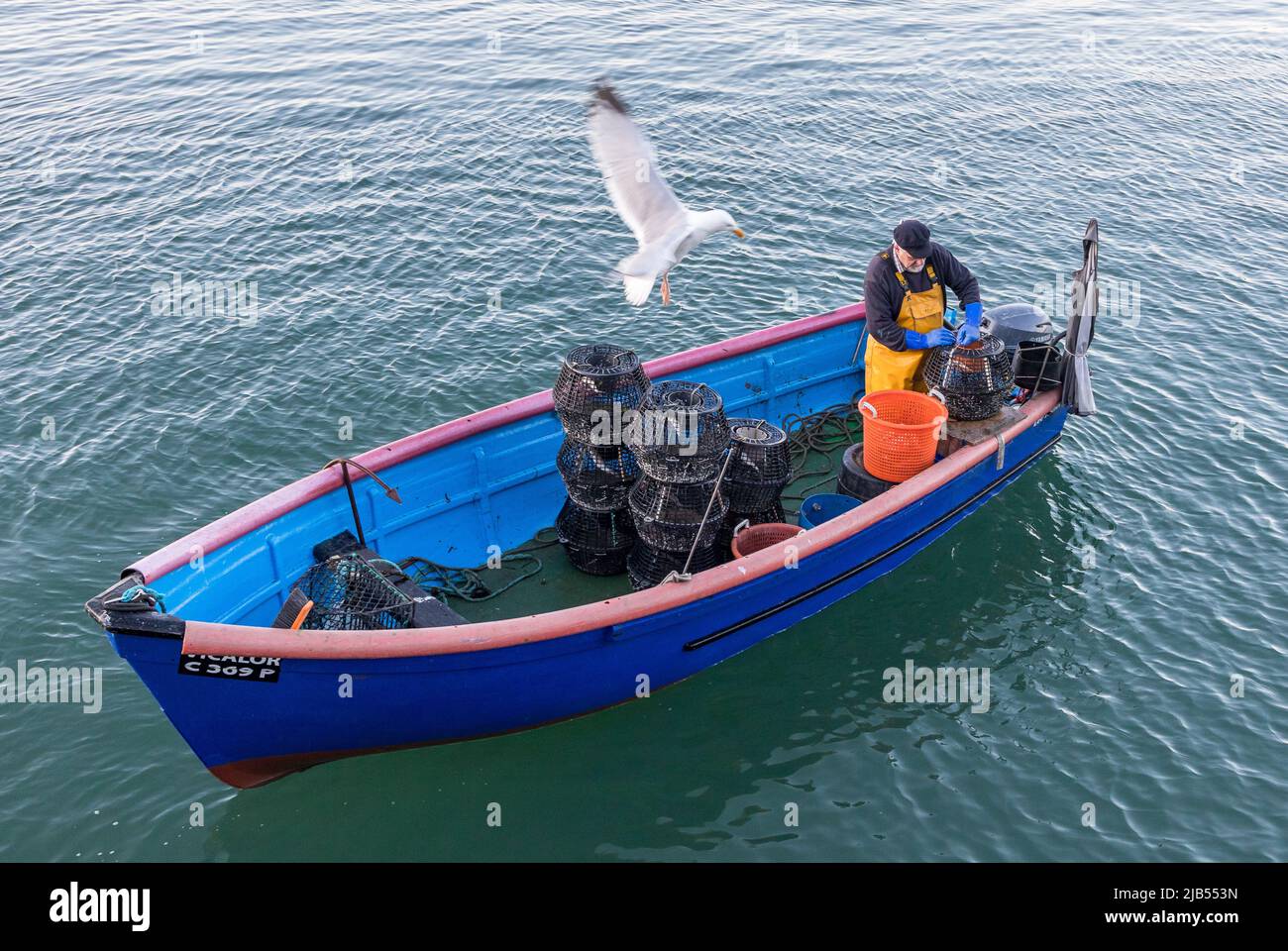 Cobh, Cork, Irlanda. 03rd giugno 2022. Ron Randells, il pescatore costiera, controlla le sue pentole per l'aragosta e i granchi di velluto prima dell'alba in Cobh, Co. Cork, Irlanda.- accreditamento; David Creedon / Alamy Live News Foto Stock