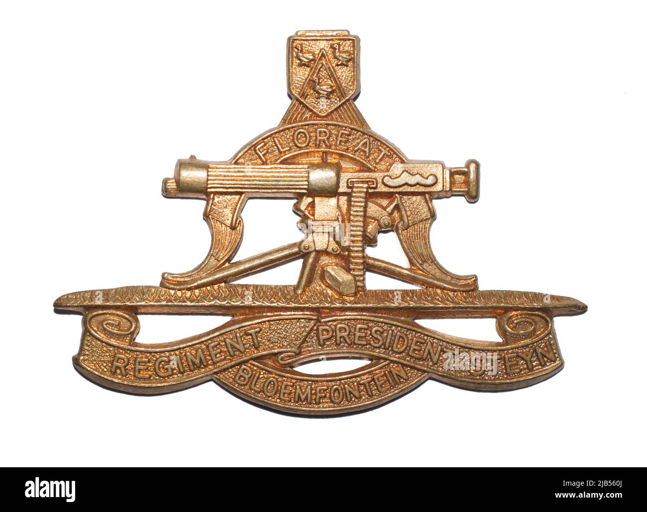 Steyn Bloemfontein, presidente del reggimento, badge, esercito sudafricano. Foto Stock Steyn Bloemfontein, presidente del reggimento, badge, esercito sudafricano. Foto Stock